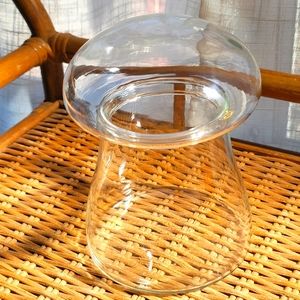 Mid-century mushroom apothecary jar